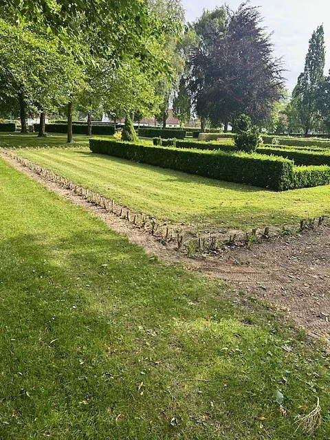 Grøn græsplæne, afklippede hække